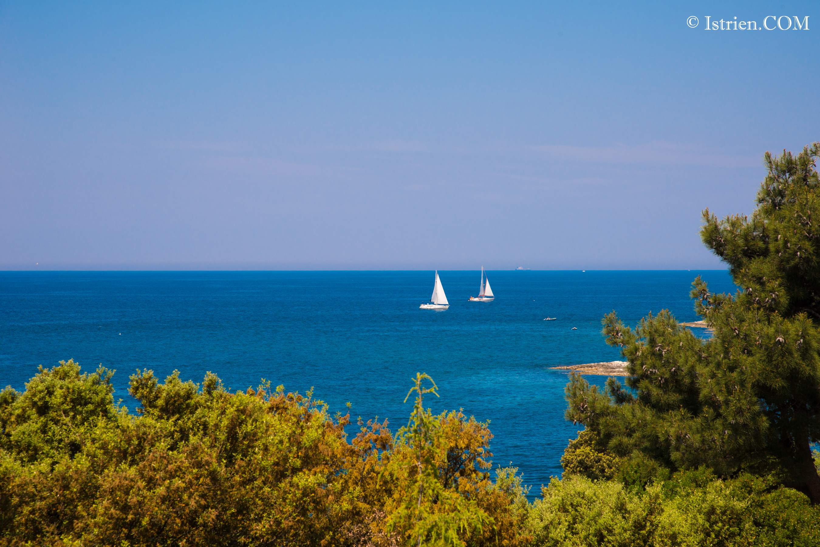 Blick durch Bäume aufs Meer in Istrien - Kroatien