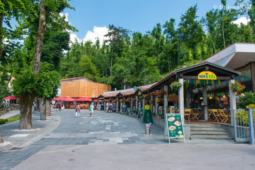 Die Höhle von Postojna - Ausflugsziel - Slovenien - Istrien