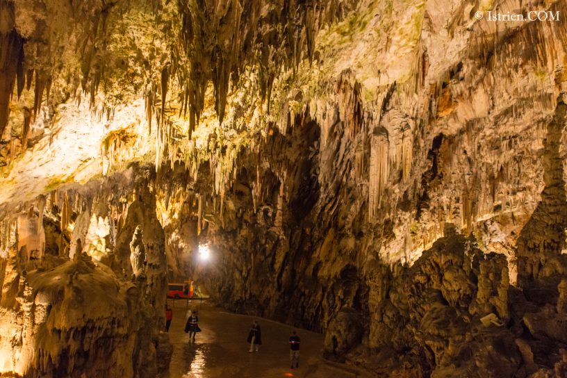 Riesige Höhle von Postojna - Slovenien - Istrien