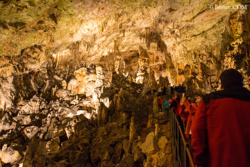 Führung durch die Höhle von Postojna - Slovenien - Istrien
