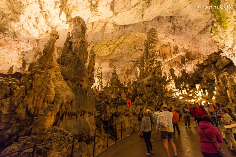 Touristenführung - Höhle von Postojna - Slovenien - Istrien