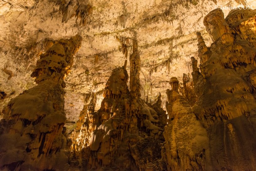 Blick zur Decke - Höhle von Postojna - Slovenien - Istrien