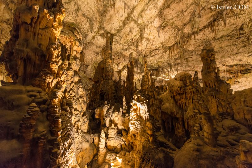 Tolle Gebilde in der Höhle von Postojna - Slovenien - Istrien