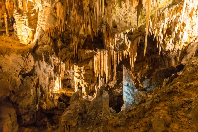 Faszimierende Stalaktiten - Höhle von Postojna - Slovenien - Istrien