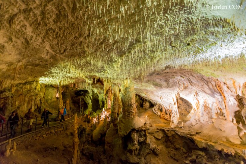 Tropfstein-Fäden an der Decke - Höhle von Postojna - Slovenien - Istrien