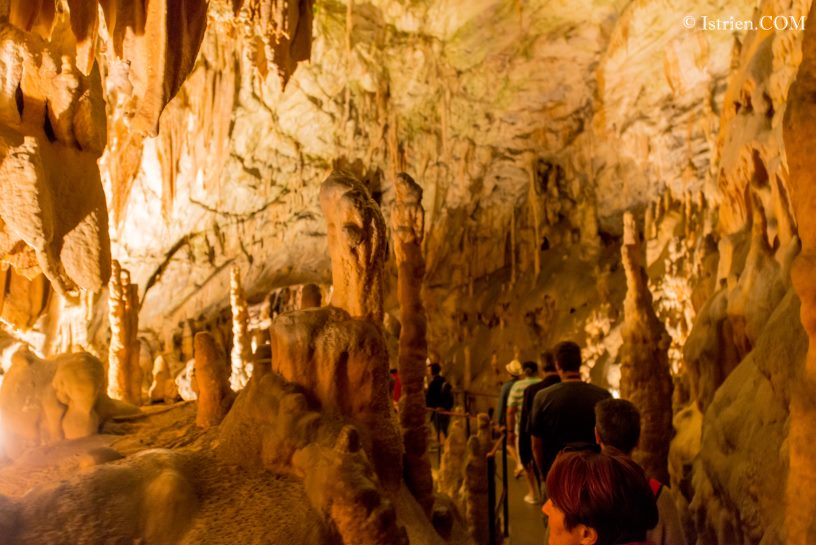 Faszinierende Tropfsteine - Höhle von Postojna - Slovenien - Istrien