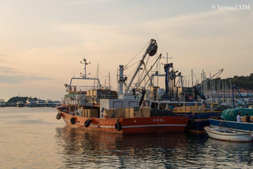 Fischerboot im Hafen - Fischerfest in Vrsar - Istrien - Kroatien