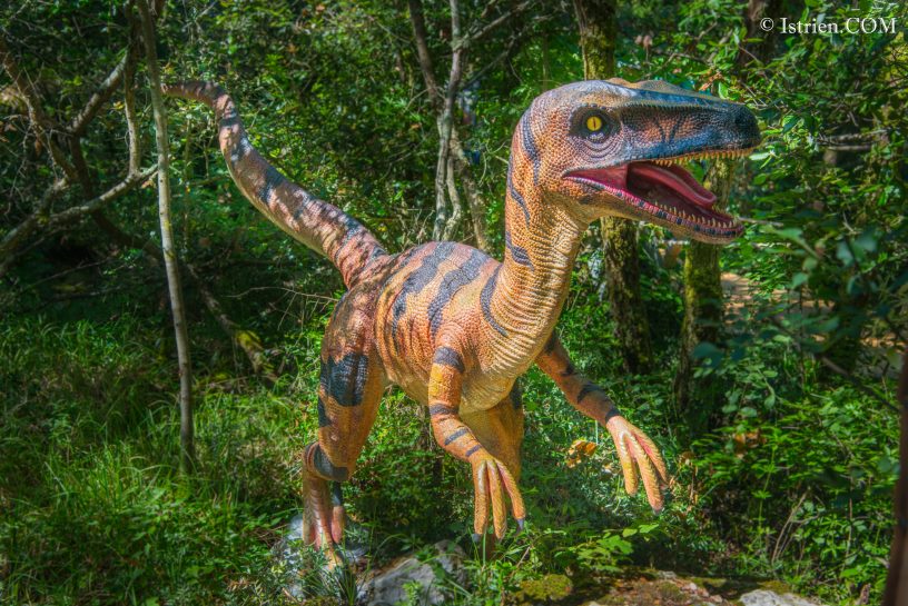 Eoraptor - DinoPark Funtana in Istrien