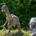 Raptor - DinoPark Funtana in Istrien