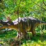 Triceratops - DinoPark Funtana in Istrien