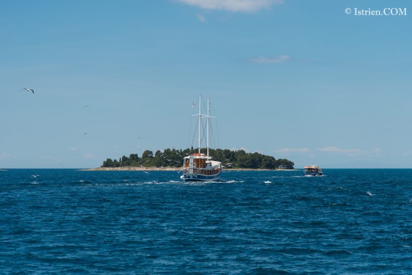 Istrien - Insel vor Rovinj mit Ausflugsboot