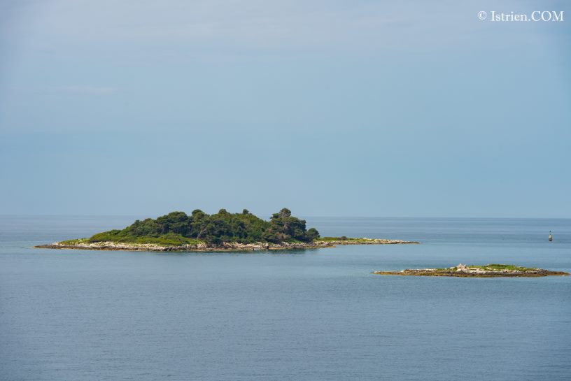Insel vor Vrsar in Istrien